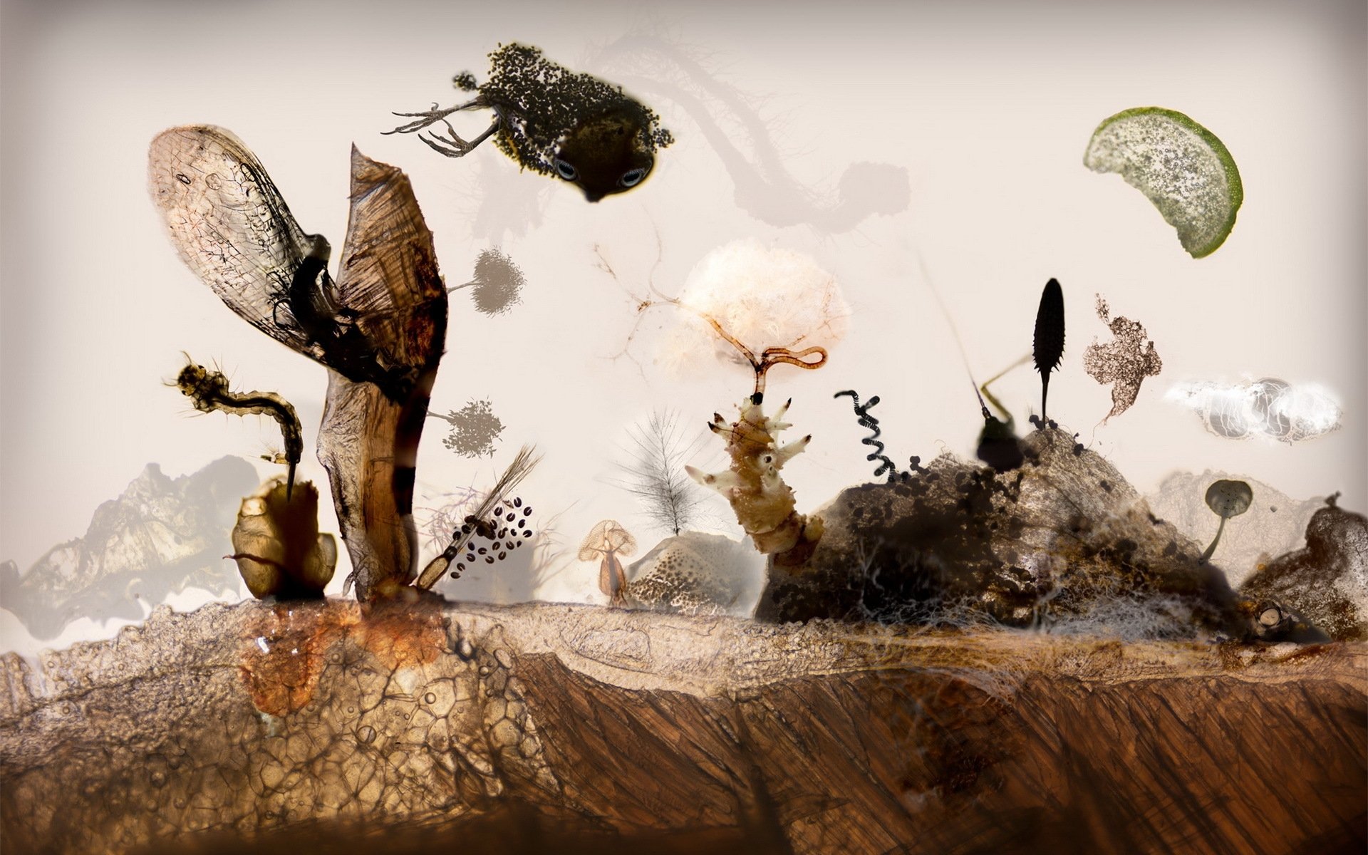 Download Earth Life Fantasy Artistic HD Wallpaper
