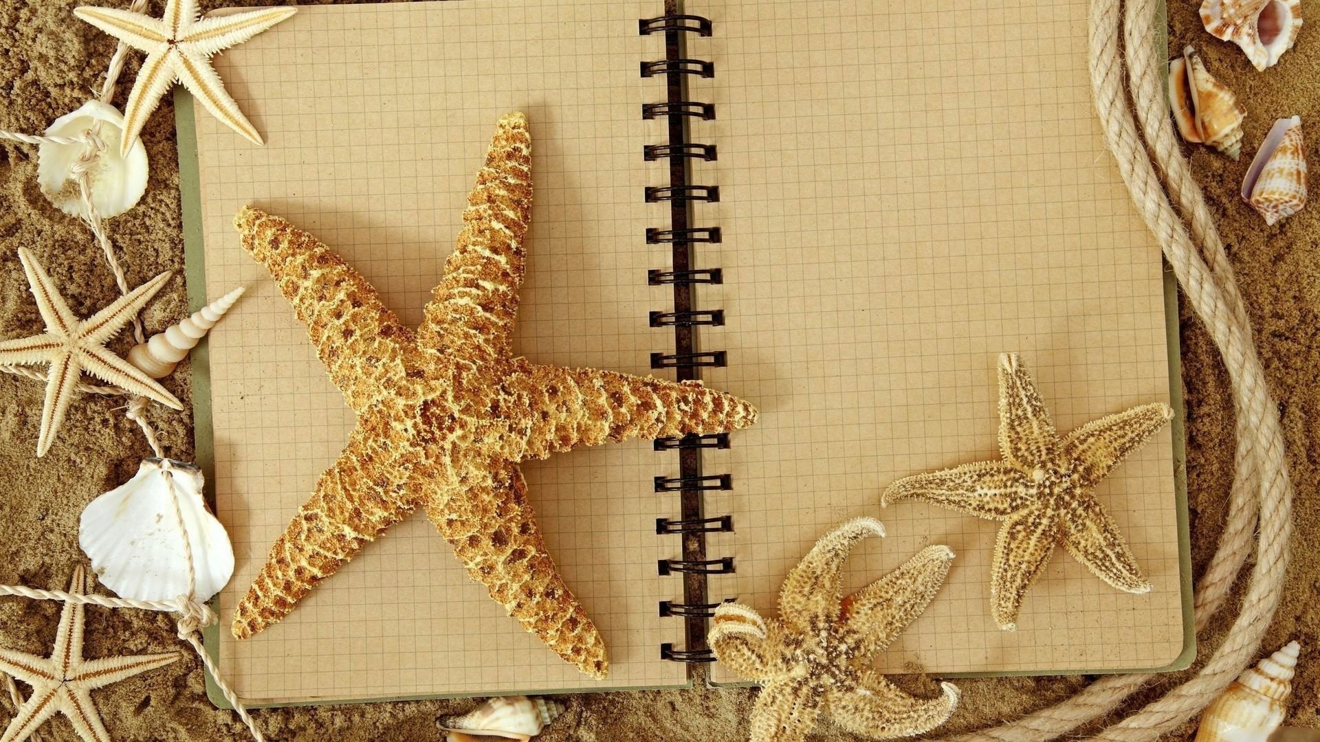 HD desktop wallpaper featuring an open spiral notebook surrounded by various starfish and seashells on a sandy surface.