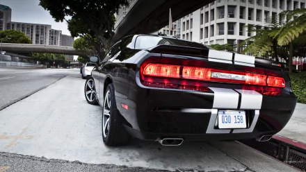 Dodge Challenger SRT8 392 vehicle Dodge Challenger SRT8 HD Desktop Wallpaper | Background Image