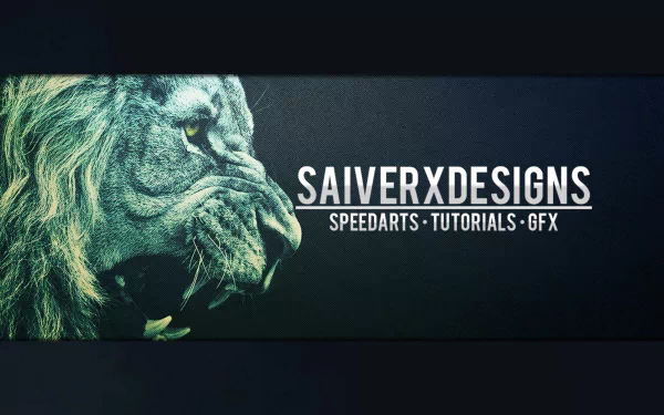  SaiverxDesignd 2012 design