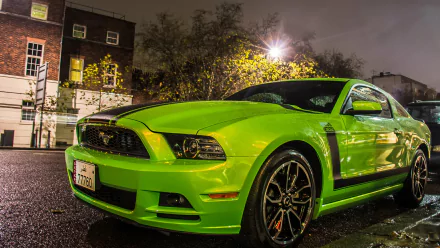 HD wallpaper of a vibrant green Ford Mustang parked on a wet street at night, with urban buildings and trees in the background.