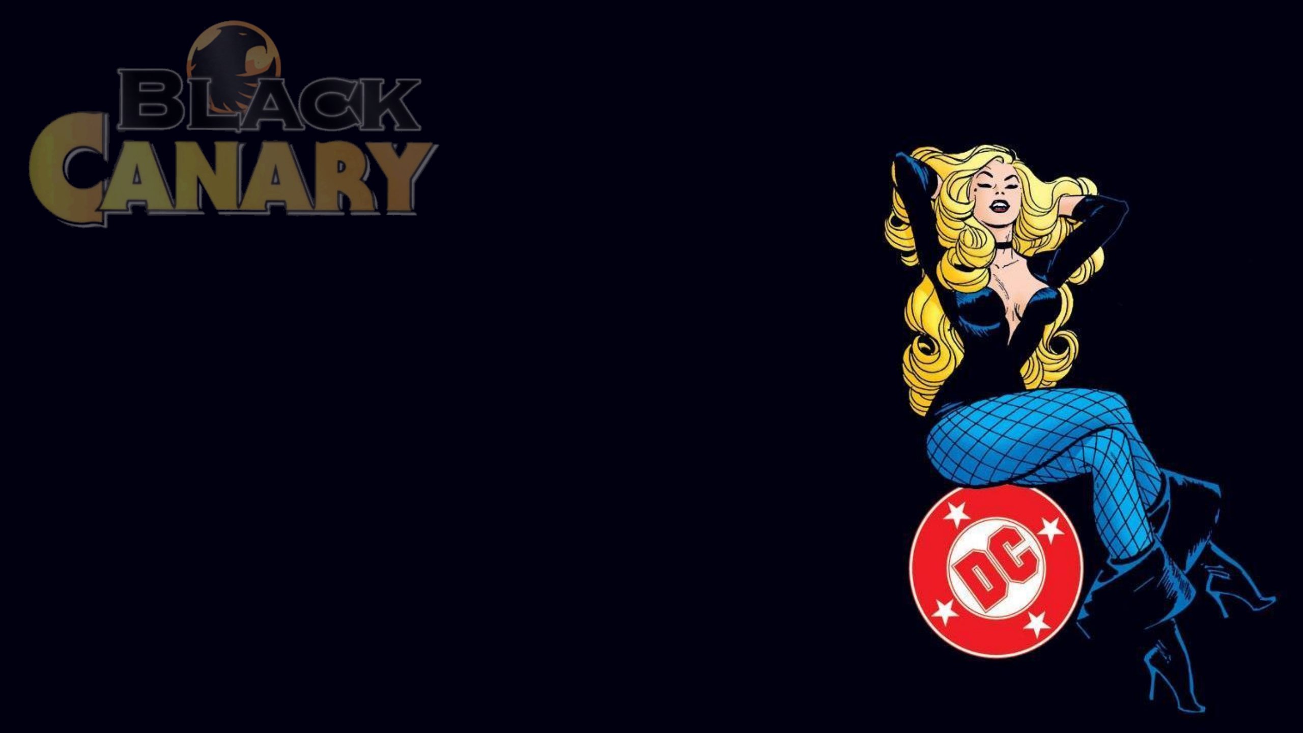 65 Black Canary HD Wallpapers | Backgrounds - Wallpaper Abyss