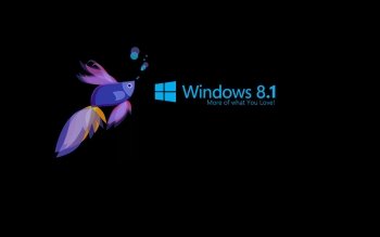 10 Windows 8 1 高清壁纸 桌面背景
