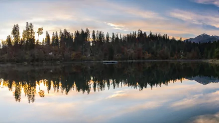 HD PC desktop wallpaper and background — nature scene of pine forest and distant mountain at sunrise, mirror-like reflection on a calm lake.