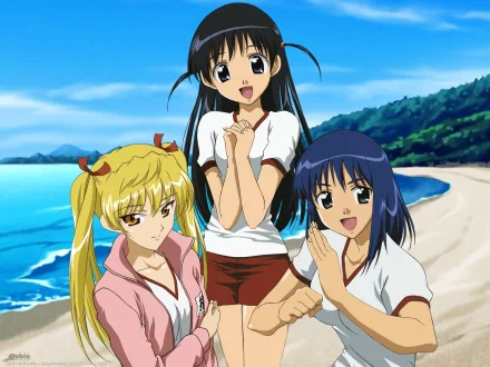 HD desktop wallpaper from the anime School Rumble, featuring three characters standing on a beach with a scenic blue ocean and green hills in the background.
