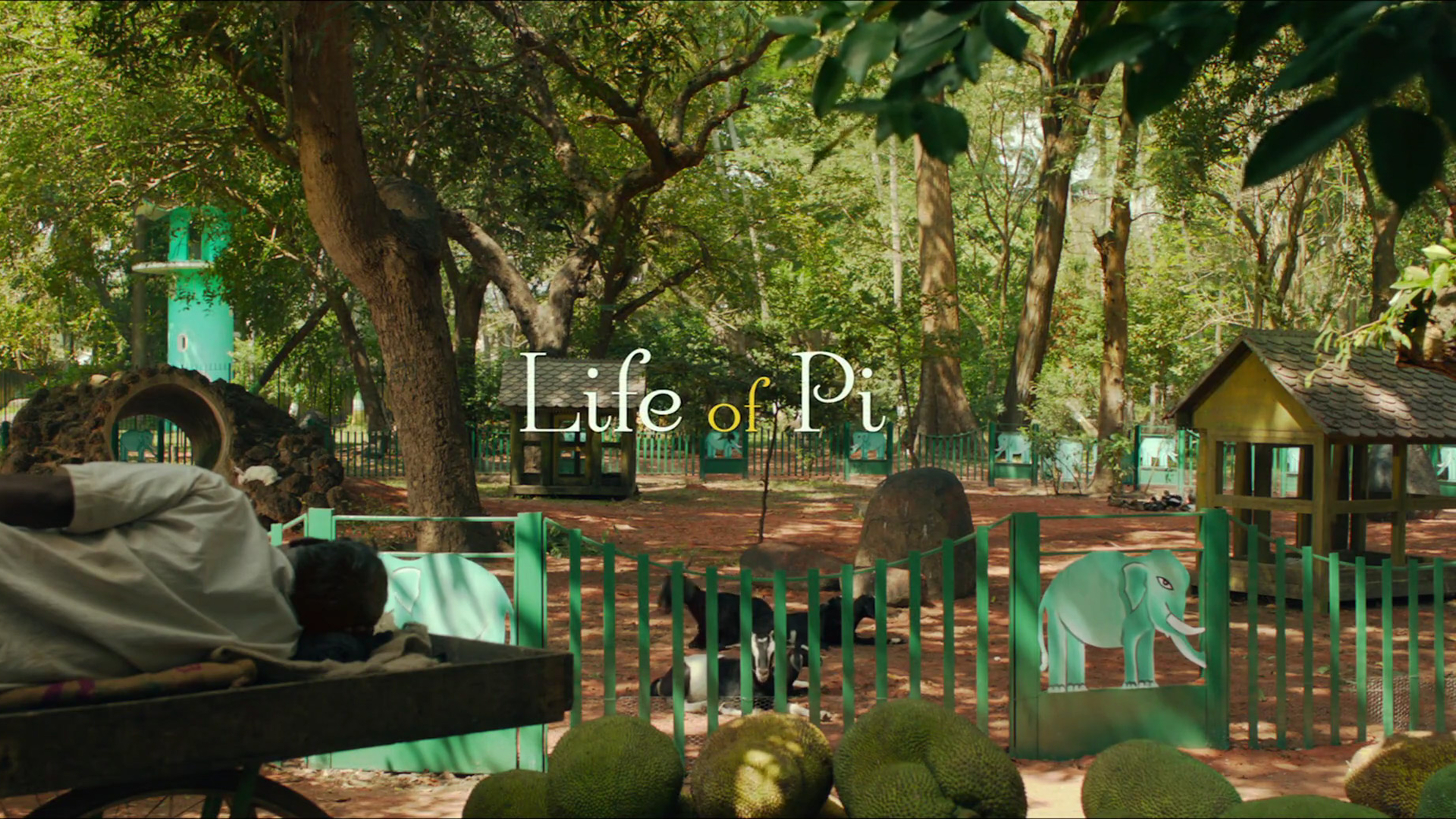 Movie Life of Pi HD Wallpaper