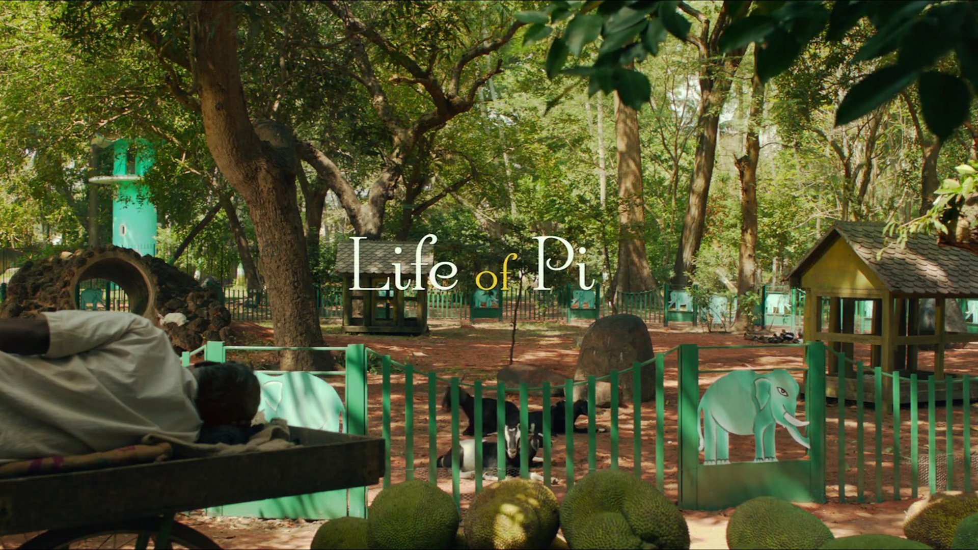 HD PC desktop wallpaper and background: movie Life of Pi title overlaid on a sunlit green park playground with trees, a fence and round fruit in the foreground.