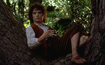 HD wallpaper of a character from The Lord of the Rings sitting by a tree, capturing the essence of the Fellowship of the Ring.