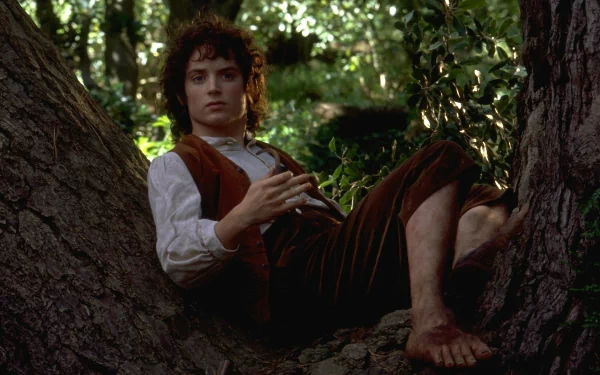 HD wallpaper of a character from The Lord of the Rings sitting by a tree, capturing the essence of the Fellowship of the Ring.