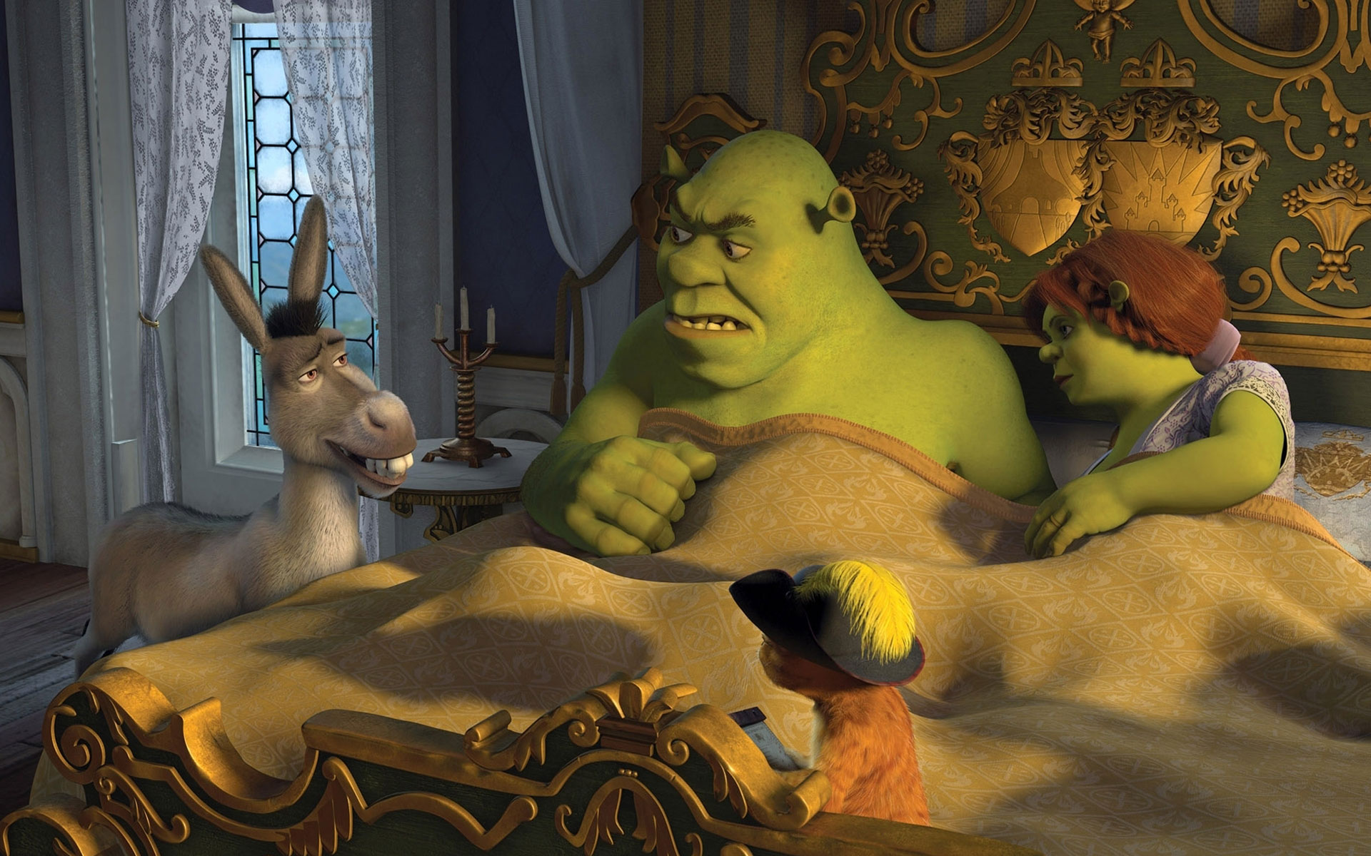 Shrek e fundos, memes shrek papel de parede HD