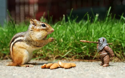 HD wallpaper featuring a chipmunk interacting with an Ewok figure from Star Wars, with grass and scattered nuts in the background.