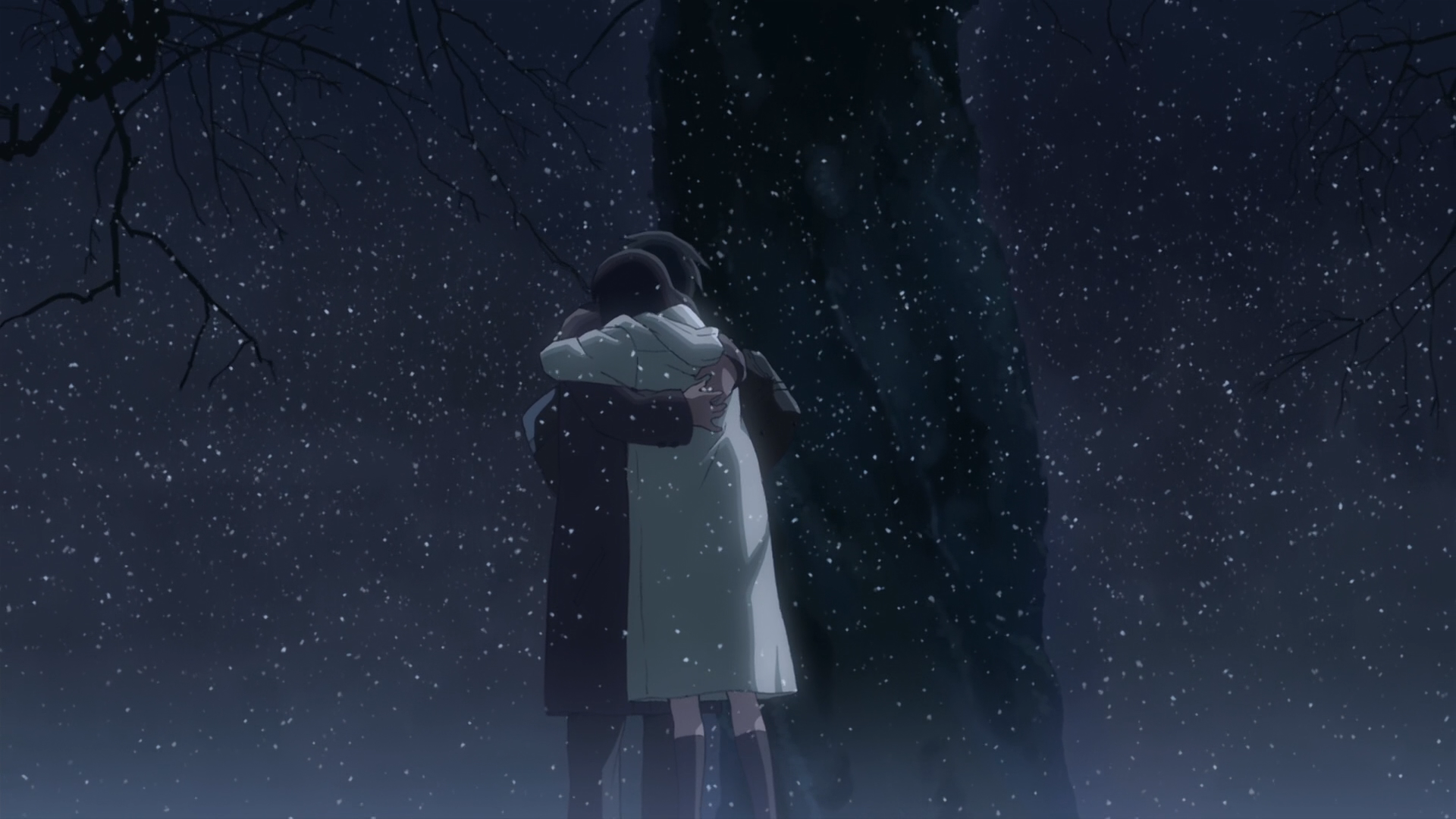 5 Centimeters Per Second Full HD Wallpaper and Background ...