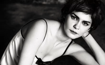 French actress Celebrity Audrey Tautou HD Desktop Wallpaper | Background Image