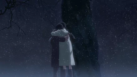 HD desktop wallpaper: Akari Shinohara and Takaki Tōno from 5 Centimeters per Second embrace under a snowy night sky beside a tree.