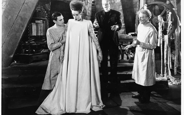 Bride of Frankenstein movie HD Desktop Wallpaper | Background Image