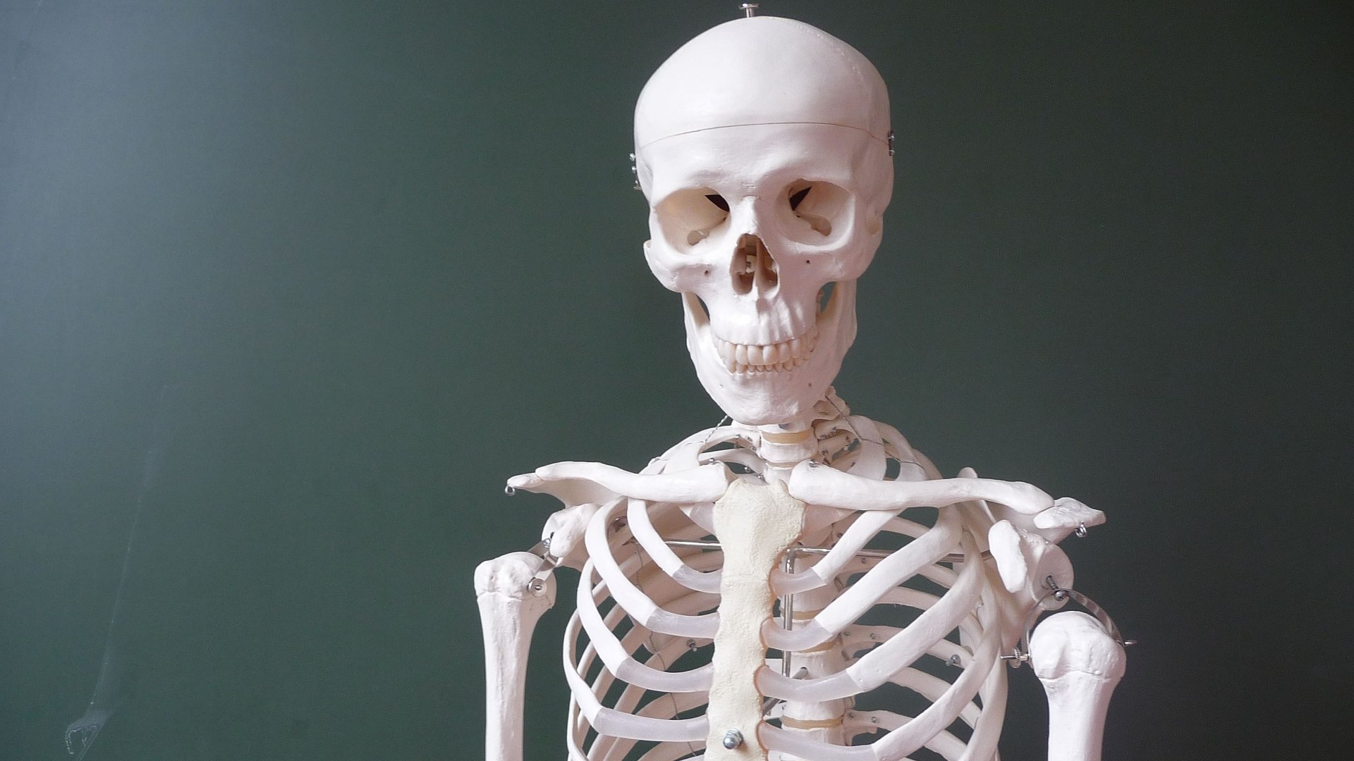 Download Dark Skull HD Wallpaper