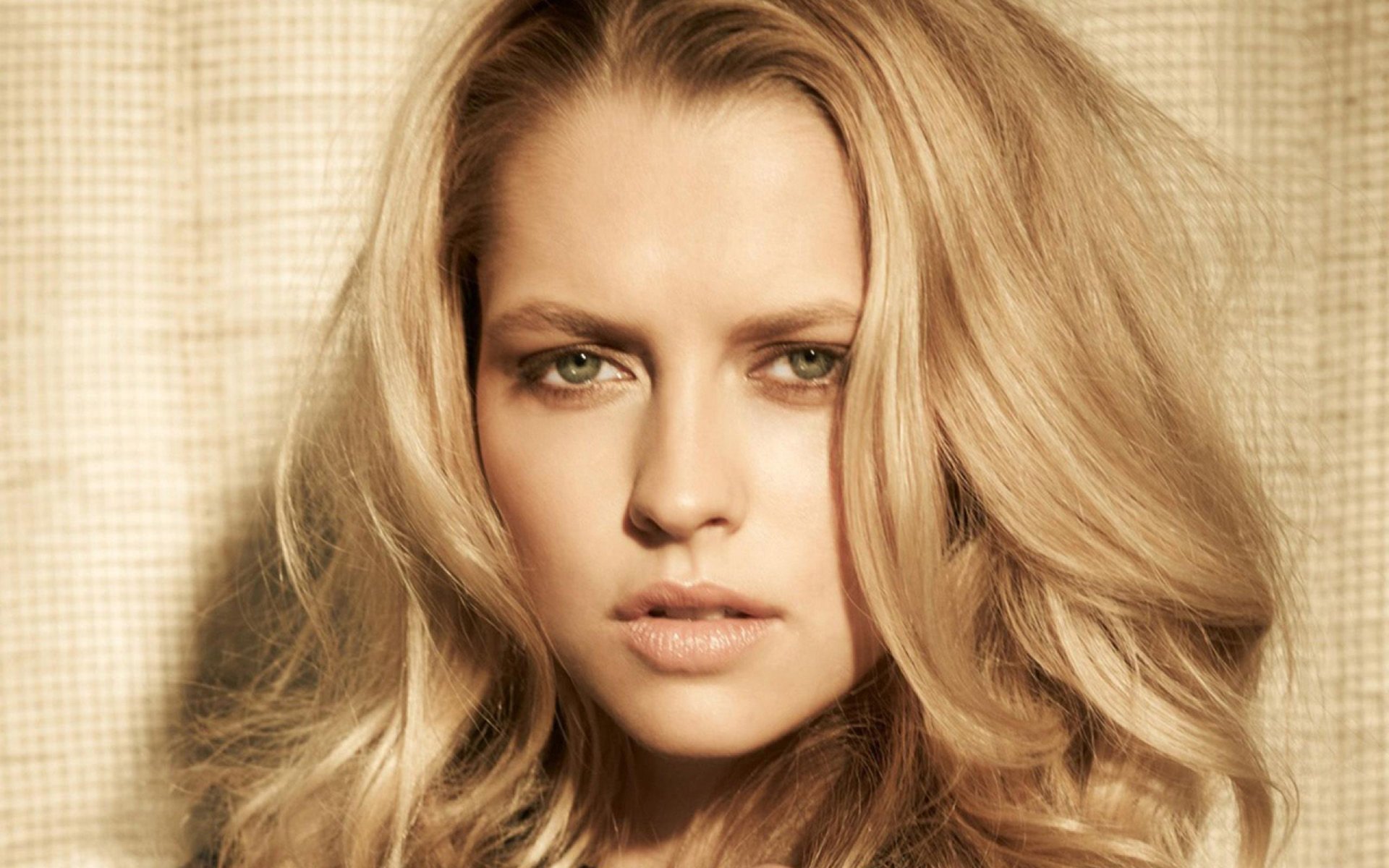 Teresa Palmer HD Wallpaper