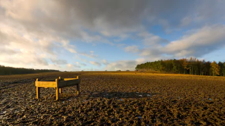nature Muddy Field HD Desktop Wallpaper | Background Image