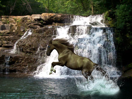 A majestic horse leaps gracefully from a rocky ledge into a cascading waterfall, surrounded by lush greenery, serving as an inspiring HD desktop wallpaper and background.