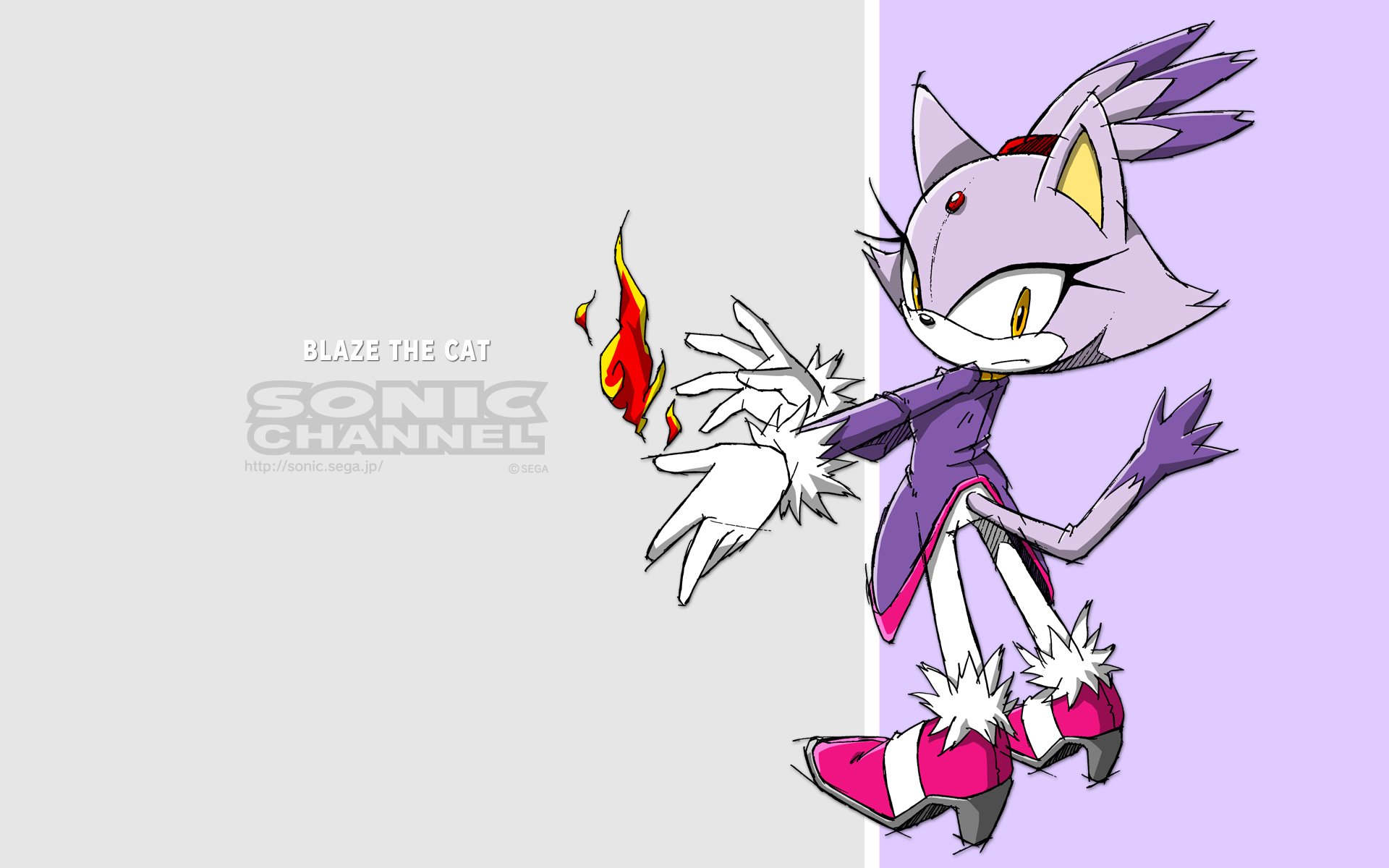 Download Sonic Channel Blaze The Cat Video Game Sonic The Hedgehog HD  Wallpaper