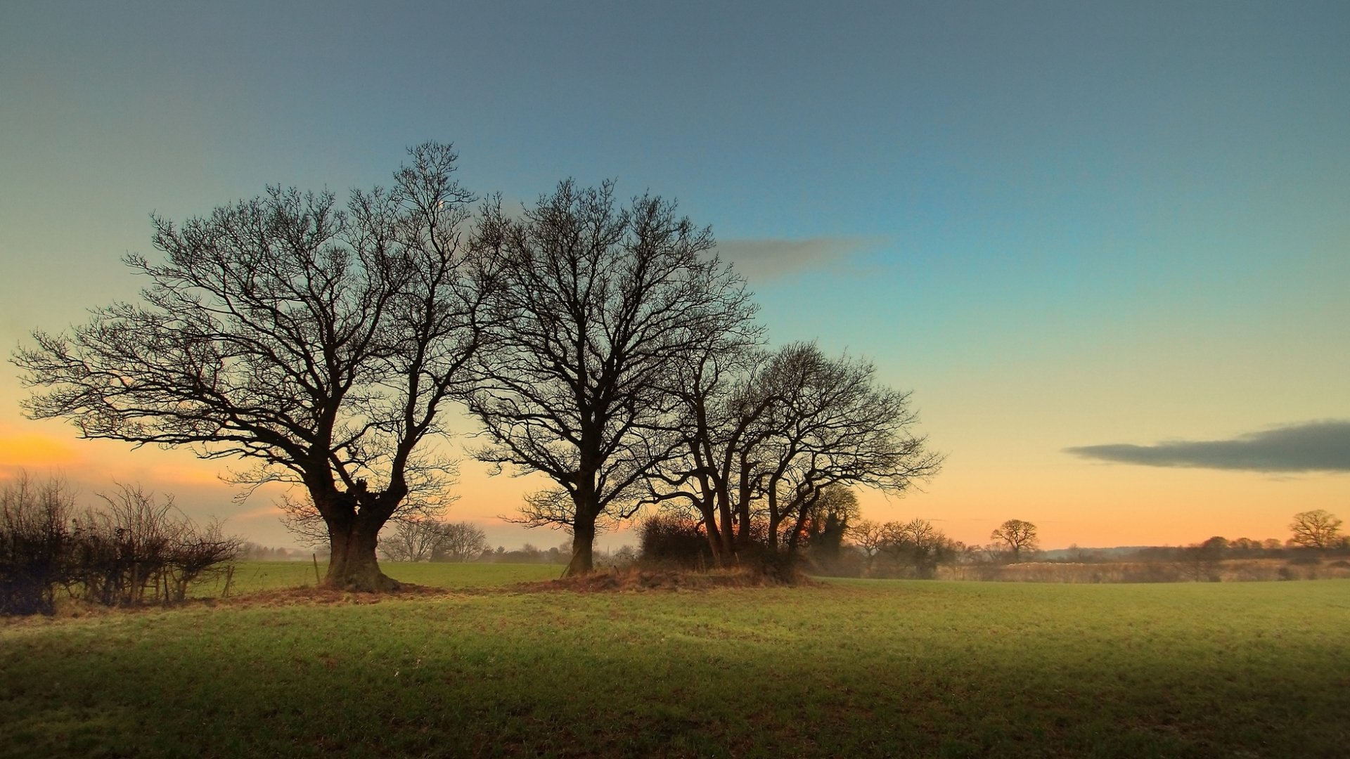 HD nature desktop wallpaper featuring a serene landscape with large, leafless trees silhouetted against a soft, colorful sunset sky.
