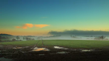 nature Muddy Field HD Desktop Wallpaper | Background Image