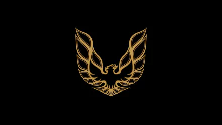 Golden outline of the iconic Pontiac Trans Am firebird emblem on a black background, designed as an HD PC desktop wallpaper and background.