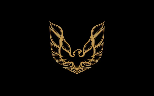 Golden outline of the iconic Pontiac Trans Am firebird emblem on a black background, designed as an HD PC desktop wallpaper and background.