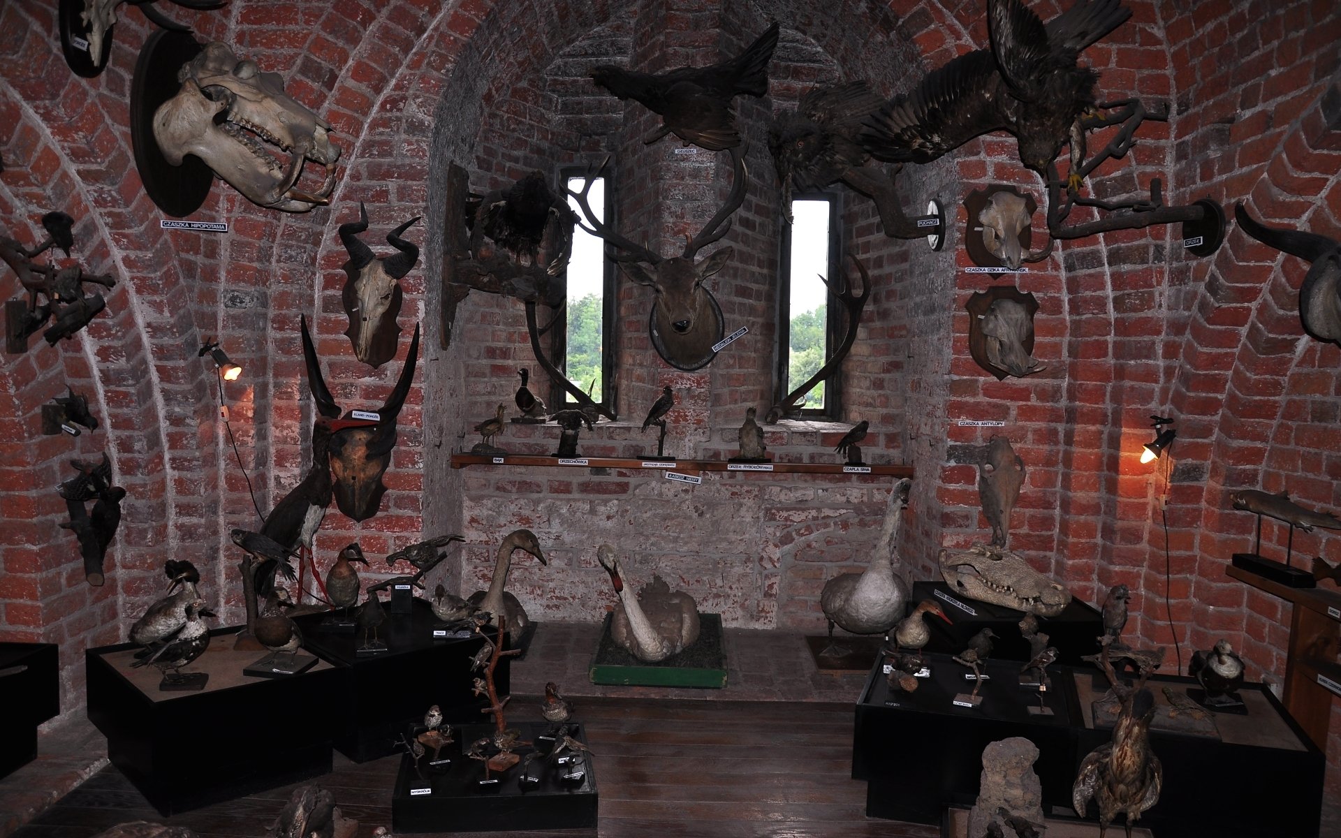 Download Man Made Castle Of Pomeranian Dukes HD Wallpaper