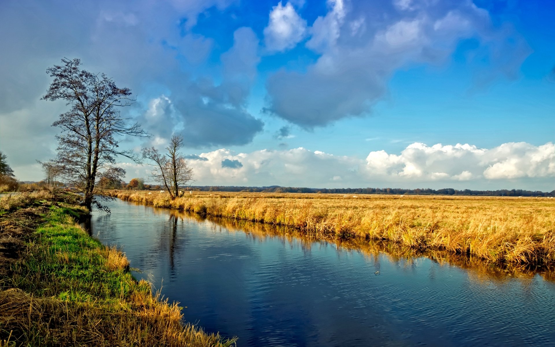 Download Nature River HD Wallpaper