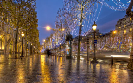 HD desktop wallpaper of a beautifully lit Parisian street at night, showcasing rows of trees adorned with sparkling lights and classic lampposts, reflecting on the wet pavement.