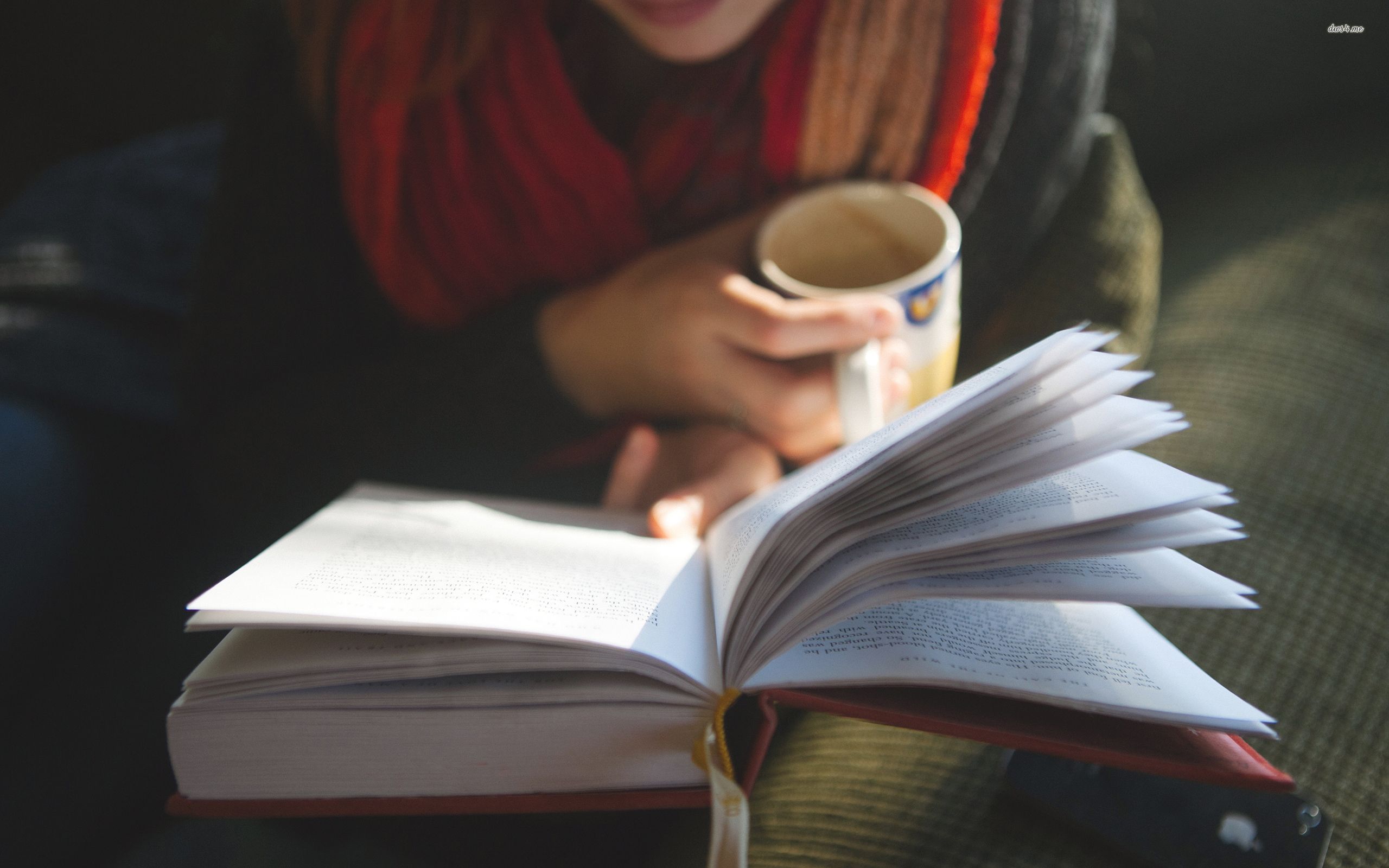 Book HD Wallpaper Background Image 2560x1600 ID 500112