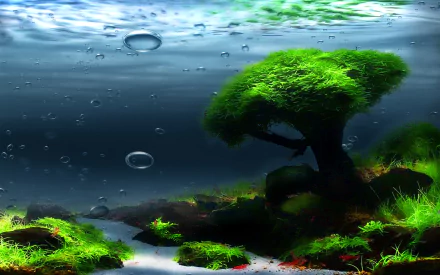 HD PC desktop wallpaper of a fantasy landscape featuring vibrant underwater scenery with lush, moss-covered trees and bubbles rising through clear water.