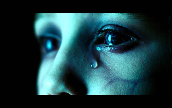 movie The Amityville Horror (2005) HD Desktop Wallpaper | Background Image