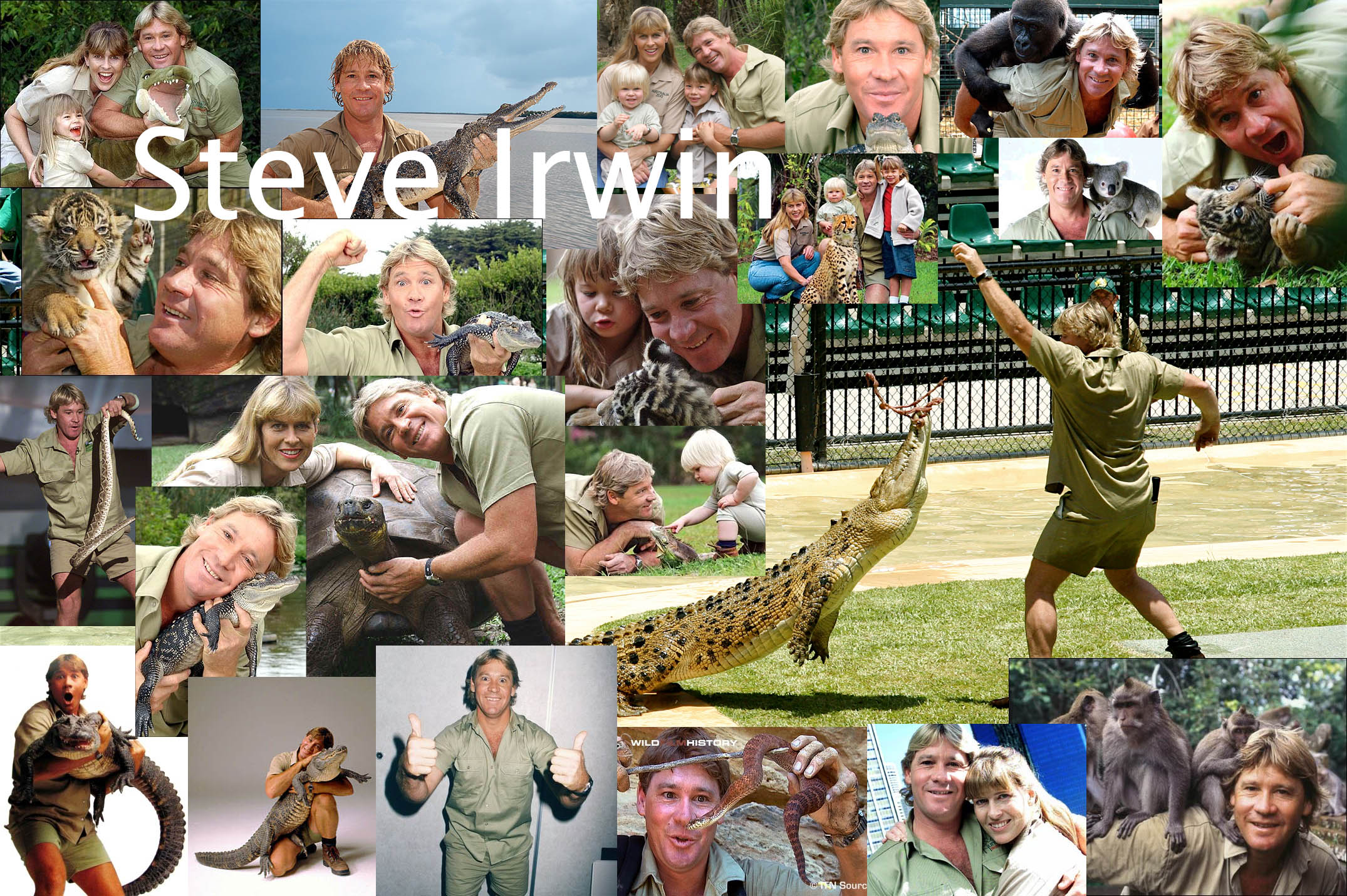 Celebrity Steve Irwin HD Wallpaper | Background Image