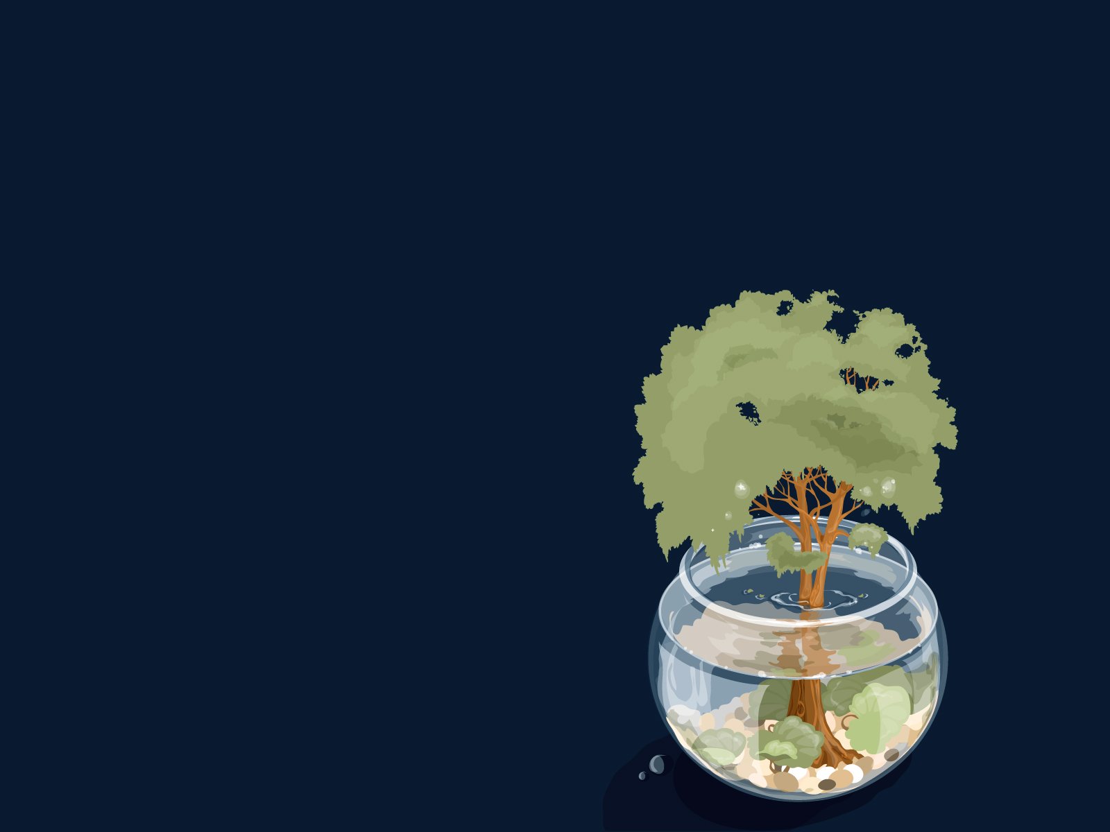 Artistic HD desktop wallpaper featuring a small tree growing inside a glass bowl filled with water, set against a dark blue background, blending nature with creative design.