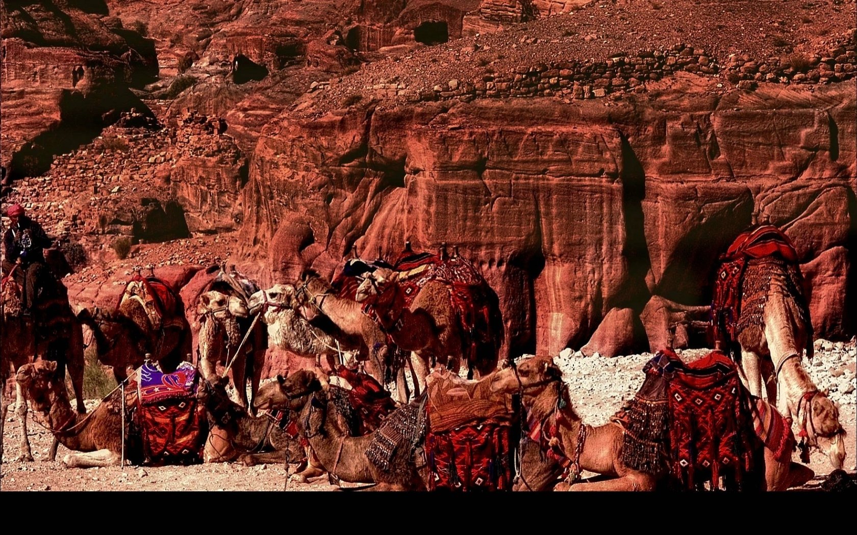 Download Man Made Petra Wallpaper