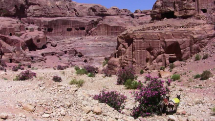 man made Petra HD Desktop Wallpaper | Background Image