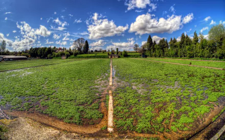 nature Muddy Field HD Desktop Wallpaper | Background Image