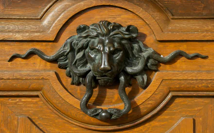  Lion and Snake Door Knocker