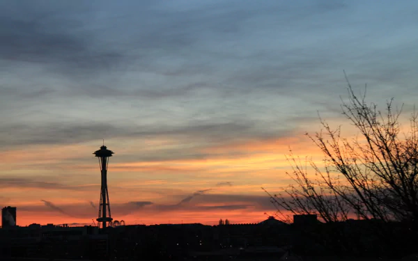 Seattle man made Space Needle HD Desktop Wallpaper | Background Image