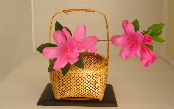 nature azalea HD Desktop Wallpaper | Background Image