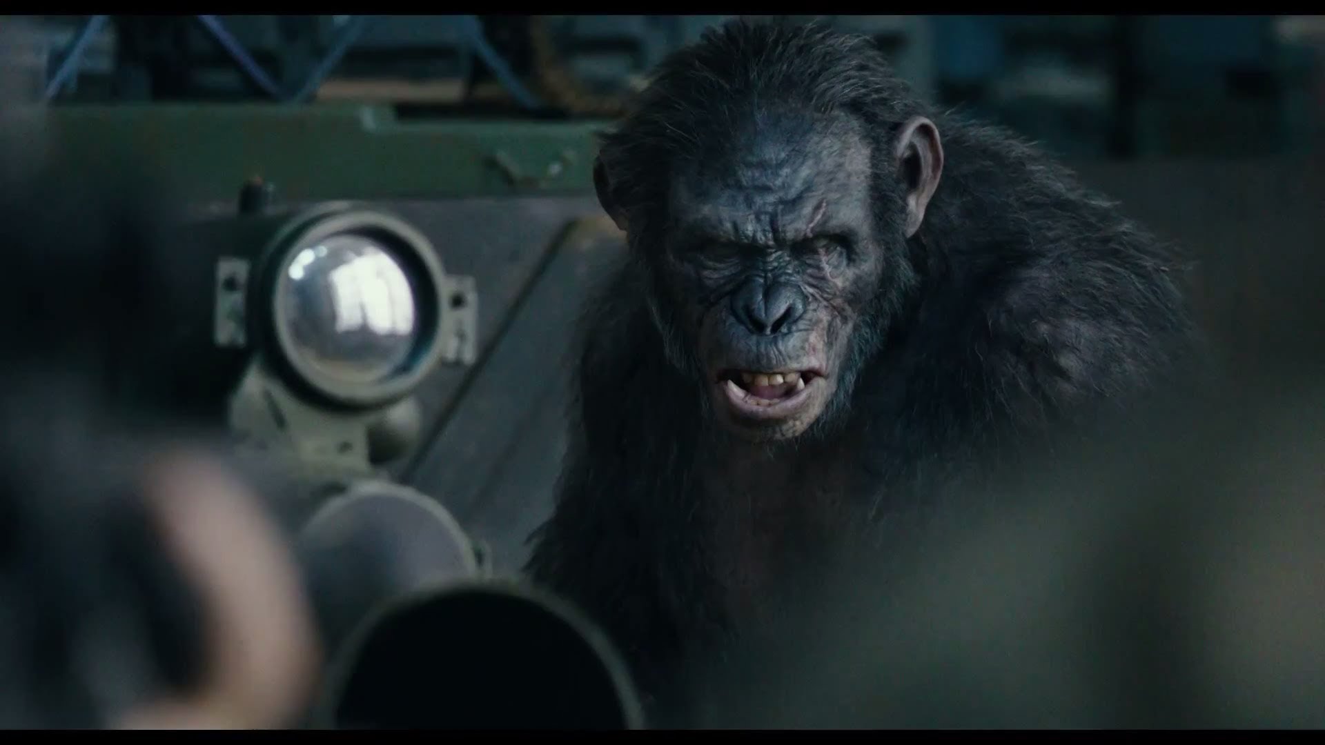 Movie Dawn of the Planet of the Apes HD Wallpaper | Background Image