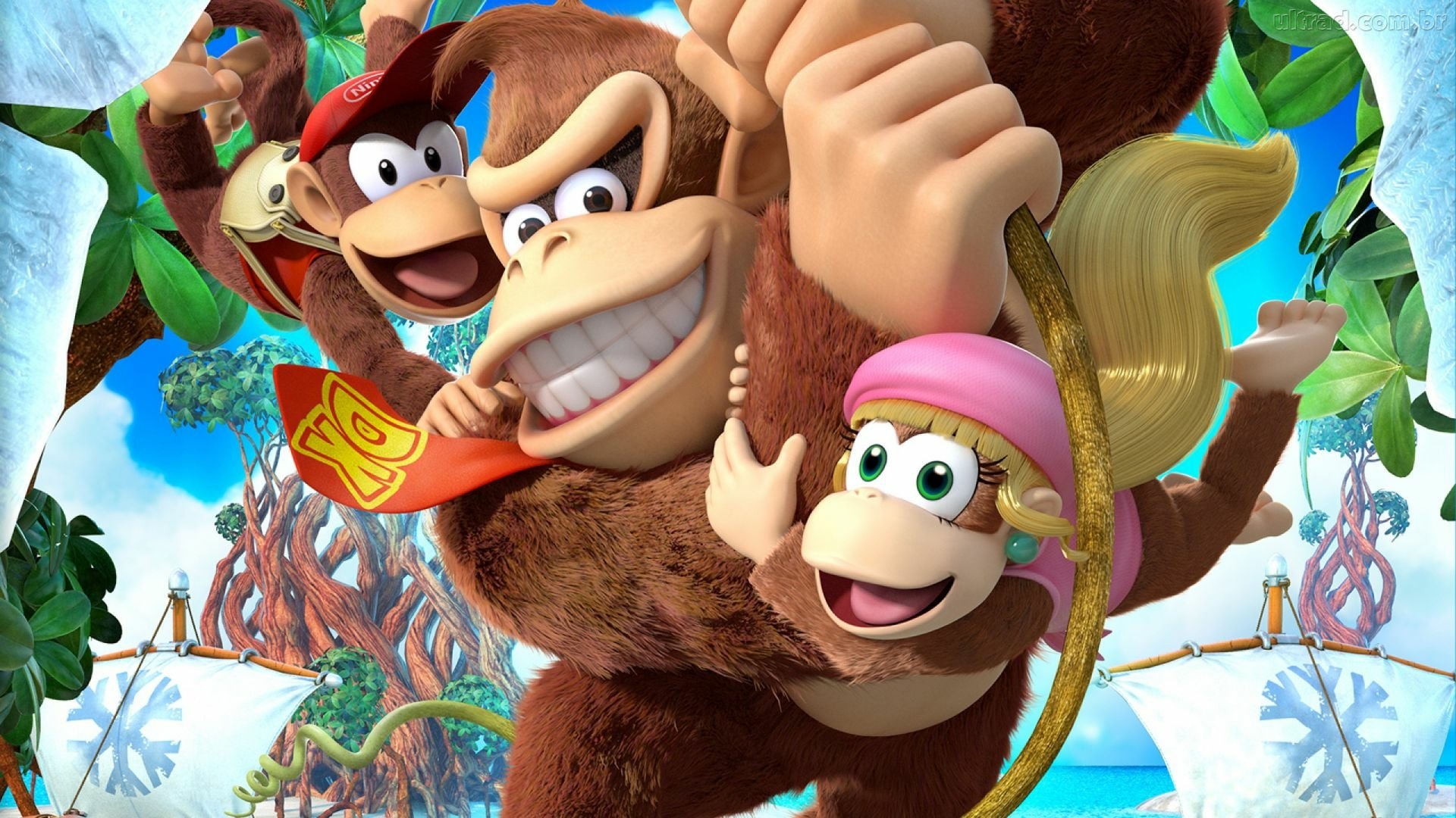 Donkey Kong Country: Tropical Freeze Full HD Wallpaper and Background