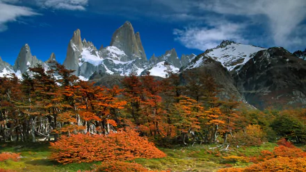 HD desktop wallpaper featuring Mount Fitz Roy rising above vibrant autumn trees under a partly cloudy sky in a stunning natural landscape.