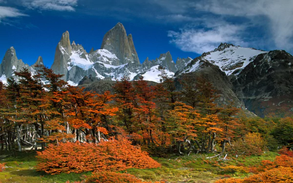 HD desktop wallpaper featuring Mount Fitz Roy rising above vibrant autumn trees under a partly cloudy sky in a stunning natural landscape.