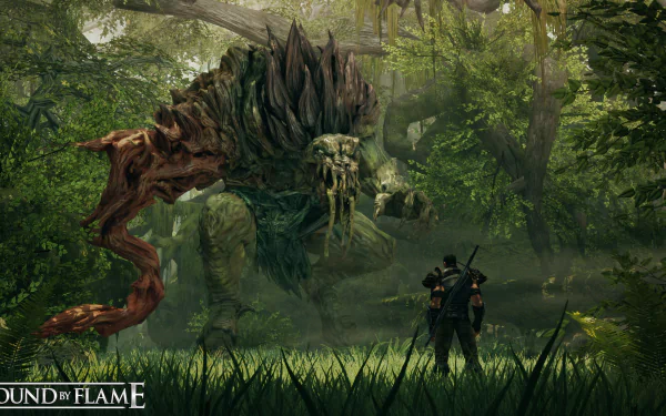 video game Bound by Flame HD Desktop Wallpaper | Background Image