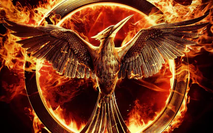 fire Mockingjay The Hunger Games movie The Hunger Games: Mockingjay - Part 1 HD Desktop Wallpaper | Background Image