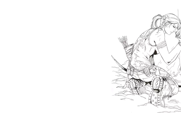 Comic Tomb Raider HD Desktop Wallpaper | Background Image