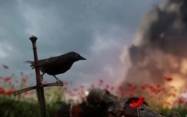 HD desktop wallpaper from Kingdom Come: Deliverance featuring a sword with a bird perched on the hilt against a dramatic, cloudy sky and scattered red flowers.